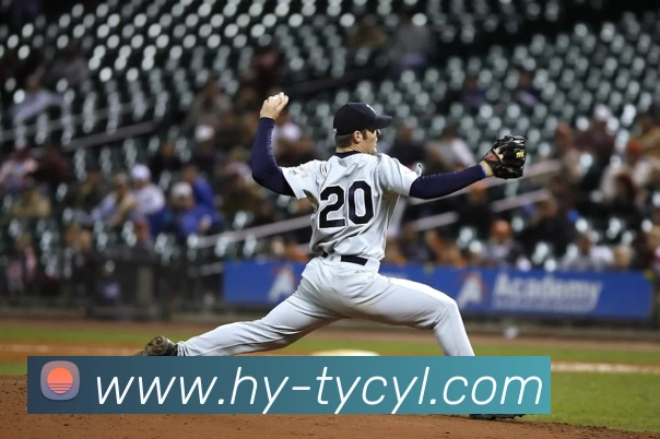 澳门太阳城平台生态图